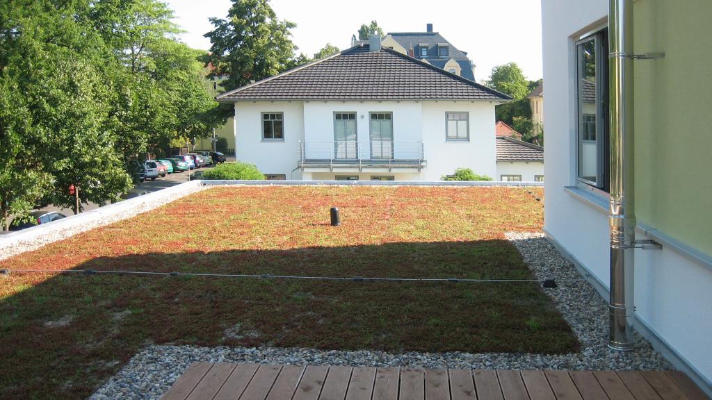 Green roof terrace of the modular dialysis centre in Riesa