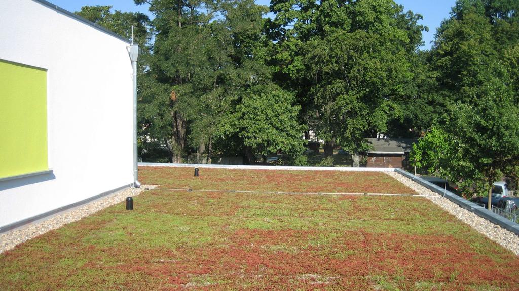 Roof greening of the Riesa dialysis centre in modular design